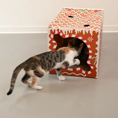 Katzenhaus aus Karton mit Lebkuchen-Design, Katze untersucht den Eingang. Sichtbar: Öffnungen und Kratzfläche innen.