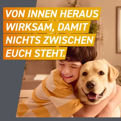 Frontpro Kautablette gegen Zecken und Flöhe, für Hunde >25 bis 50 kg