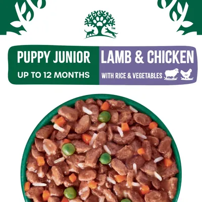 James Wellbeloved Puppy & Junior Hypoallergenic - Lamb & Chicken in Gravy - Saver Pack: 48 x 90g James Wellbeloved Puppy & Junior Hypoallergenic - Lamb & Chicken in Gravy - Saver Pack: 48 x 90g