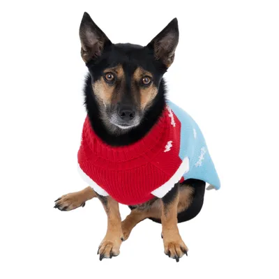 Hund trägt einen rot-blauen Strickpullover mit weissen Mustern. Produkt zeigt Design und Passform eines Hundepullovers.