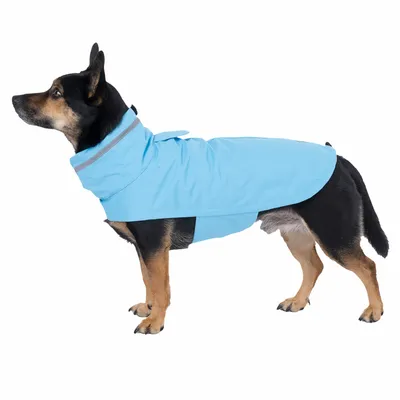 Chien portant un manteau imperméable bleu clair avec bande réfléchissante au col, vu de profil. Matière textile visible.