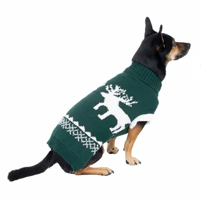 Hund trägt grünen Pullover mit weissem Rentiermotiv und Schneeflockenmuster. Produkt zeigt Design und Passform des Hundepullovers.