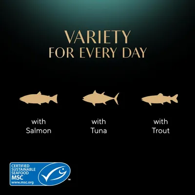 Variety for every day with salmon, tuna and trout. Certified sustainable seafood MSC.