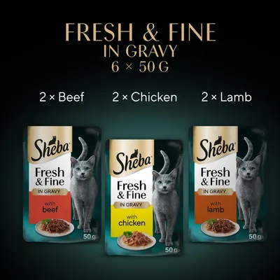 Sheba Fresh & Fine in Gravy multipack: 6 x 50g pouches with 2 beef, 2 chicken and 2 lamb varieties shown on packaging.