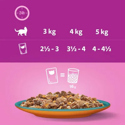 Feeding guide showing daily portions: 3kg cat, 2½–3 pouches; 4kg, 3½–4 pouches; 5kg, 4–4½ pouches. One pouch equals 16g dry food.