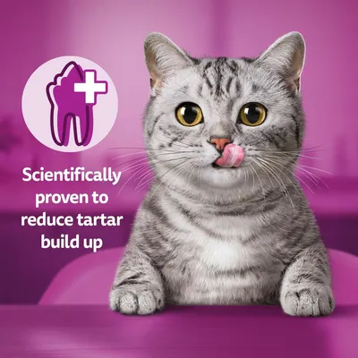 Image shows a cat with text stating: Scientifically proven to reduce tartar build up, alongside a tooth icon with a medical cross.