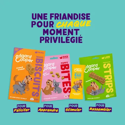 Edgard Cooper snacks pour chiens : biscuits au poulet, bouchées au canard et poulet, barre aux fruits, lamelles à l’agneau.