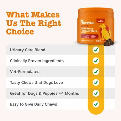 Zesty Paws Cranberry Urinary Care Chews Urinary Health - Turkey - 90 Chews Zesty Paws Cranberry Urinary Care Chews Urinary Health - Turkey - 90 Chews