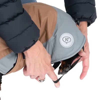 Main ajustant une sangle élastique sur la patte d’un chien portant un manteau bicolore marron et gris avec écusson NT visible.
