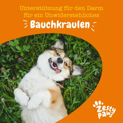 Texte en allemand : Unterstützung für den Darm für ein Unwiderstehliches Bauchkraulen. Marque Zesty Paws.
