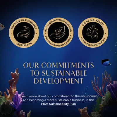 Teksti englanniksi: 'Committed to sustainably sourced fish', 'We are committed to reducing our environmental impact', 'One of the largest coral reef restoration', 'Our commitments to sustainable development'.