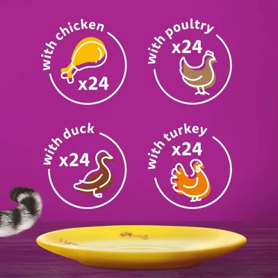 with chicken x24, with poultry x24, with duck x24, with turkey x24 shown in circles on purple background