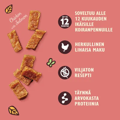 Chicken with Salmon. Soveltuu alle 12 kuukauden ikäisille koiranpennuille, herkullinen lihaisa maku, viljaton resepti, täynnä arvokasta proteiinia.