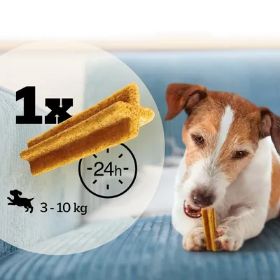 Feeding guide showing one chew per 24 hours for pets weighing 3 to 10 kg, with a pet chewing the product.