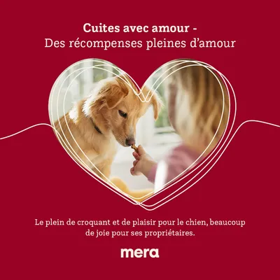 Cuites avec amour – Des récompenses pleines d’amour. Le plein de croquant et de plaisir pour le chien, beaucoup de joie pour ses propriétaires. mera