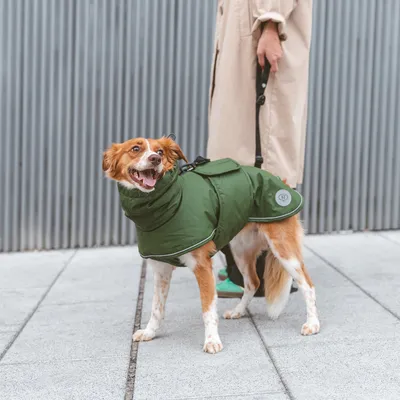 Chien portant un manteau vert avec col montant et bandes réfléchissantes, tenu en laisse par une personne en manteau beige. Badge rond visible sur le manteau du chien.