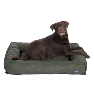 Hund liegt auf grünem Hundebett mit sichtbarem Logo 'Nomad Tales'.