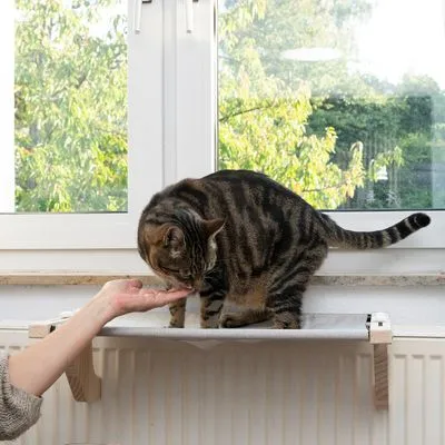 Modern Living хамак Visby за котки