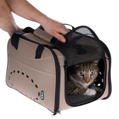 Sac de transport beige Tiaki avec poignée, ouvert par le dessus, contenant un chat tigré. Aérations latérales visibles, fermeture éclair et maille noire sur le dessus.