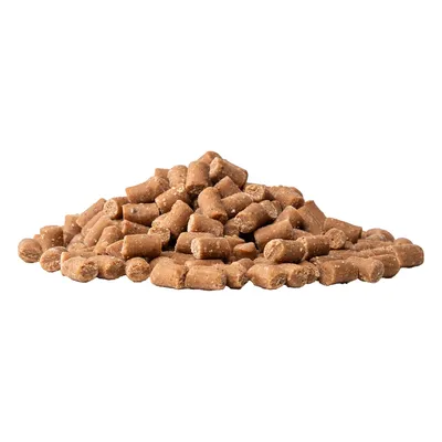 Piccoli pezzi marroni di crocchette a forma di mucchio. Texture visibile con dettagli friabili.