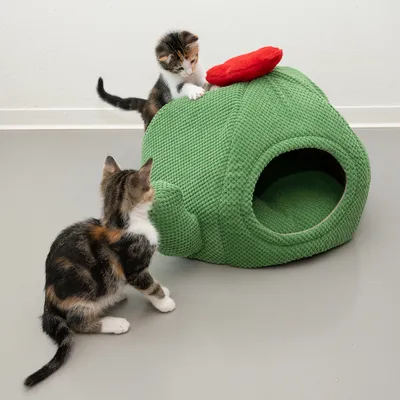 Due gattini giocano con una cuccia per gatti verde a forma di grotta in tessuto con accento rosso sulla parte superiore.