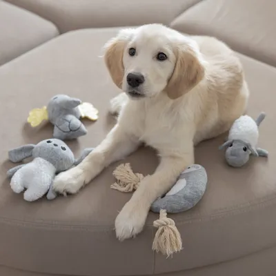Four grey plush toys for dogs, including an elephant, a rabbit, a bird and a rope toy with knots.