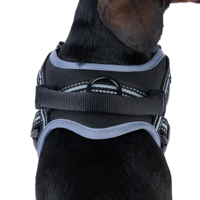 Schwarzes Hundegeschirr mit grauen Nähten und Metallring auf dem Rücken, geeignet für Leinenbefestigung.