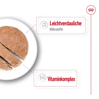 Produktbeschreibung: Leichtverdauliche Nährstoffe und Vitaminkomplex hervorgehoben. Abbildung eines geschnittenen Futters auf weissem Teller.