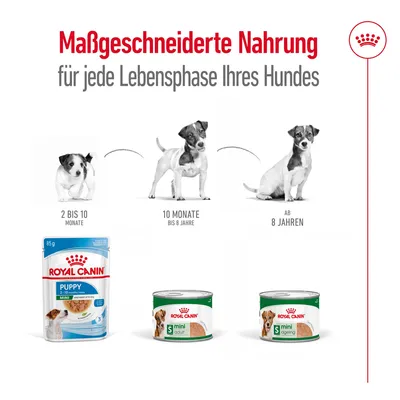 Royal Canin Nahrung für Hunde: Puppy 2 bis 10 Monate, Mini Adult 10 Monate bis 8 Jahre, Mini Ageing ab 8 Jahren. Massgeschneiderte Ernährung für jede Lebensphase Ihres Hundes.