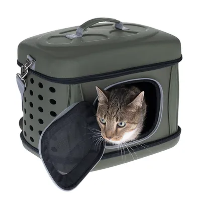 Chat dans une caisse de transport rigide verte avec poignée, porte en filet ouverte et trous d’aération sur le côté.
