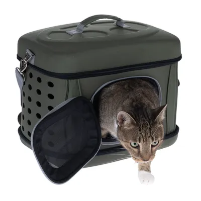 Chat sortant d’une caisse de transport rigide verte avec porte en maille ouverte et poignées sur le dessus, côtés percés de trous d’aération.