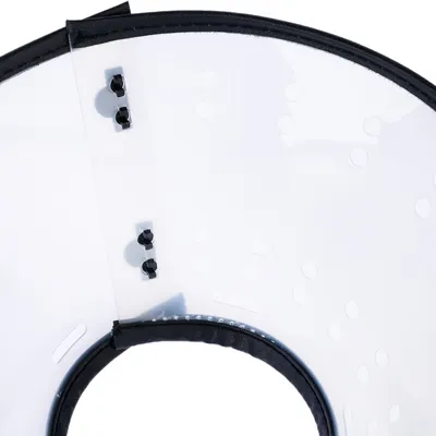 Vue rapprochée d'une collerette transparente en plastique avec bordure noire et fermeture à boutons noirs, trous d'aération visibles.