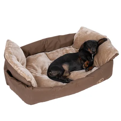 Braunes Hundebett mit weicher Polsterung, darauf liegt ein entspannter schwarzer Hund. Bett mit erhöhten Seiten und beigem Innenfutter.
