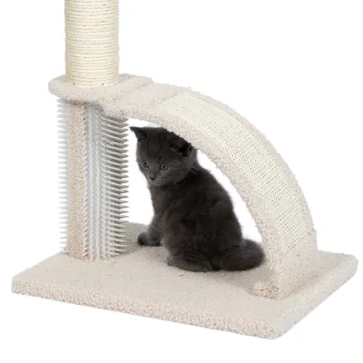Chaton gris assis sous un griffoir en arc recouvert de tissu et sisal, avec brosse verticale blanche sur la base beige.