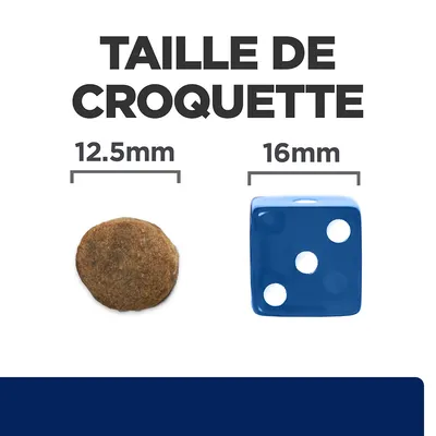 Taille de croquette : croquette ronde de 12,5 mm à côté d’un dé bleu de 16 mm pour comparaison visuelle.
