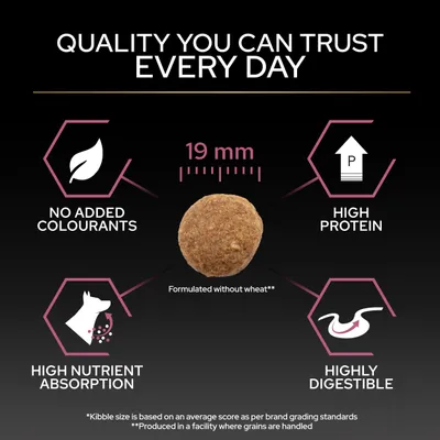 Kroketter med 19 mm i diameter, utan tillsatta färgämnen, hög proteinhalt, hög näringsupptagning, hög smältbarhet, formulerad utan vete. Kroketter med 19 mm i diameter, utan tillsatta färgämnen, hög proteinhalt, hög näringsupptagning, hög smältbarhet, formulerad utan vete.