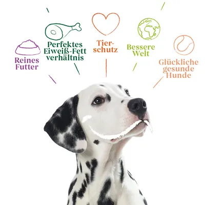 Reines Futter, perfektes Eiweiss-Fett-Verhältnis, Tierschutz, bessere Welt, glückliche gesunde Hunde. Dalmatiner mit Textgrafiken zu Produktvorteilen.