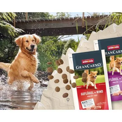 Twee verpakkingen animonda GranCarno Adult hondenvoer, varianten Geflügel + Rind en Geflügel, met afbeelding van hond en brokjes op de voorgrond.