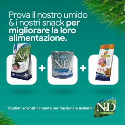 N&D Spirulina crocchette, N&D Ocean alimento umido e N&D Dental Treat snack. Sviluppato scientificamente per un'alimentazione ottimale. N&D Spirulina crocchette, N&D Ocean alimento umido e N&D Dental Treat snack. Sviluppato scientificamente per un'alimentazione ottimale.