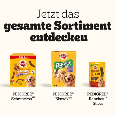 Jetzt das gesamte Sortiment entdecken: PEDIGREE Schmackos Mega Box 790g, PEDIGREE Biscrok Original 500g, PEDIGREE Ranchos Slices. Hundesnacks mit sichtbaren Verpackungen.