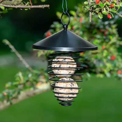 Black metal bird feeder with spiral design, filled with two fat balls, hanging from a tree branch in the garden.