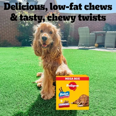 Dog with Pedigree Mega Box, Rodeo Duos and Jumbone. Text: Delicious, low-fat chews & tasty, chewy twists.