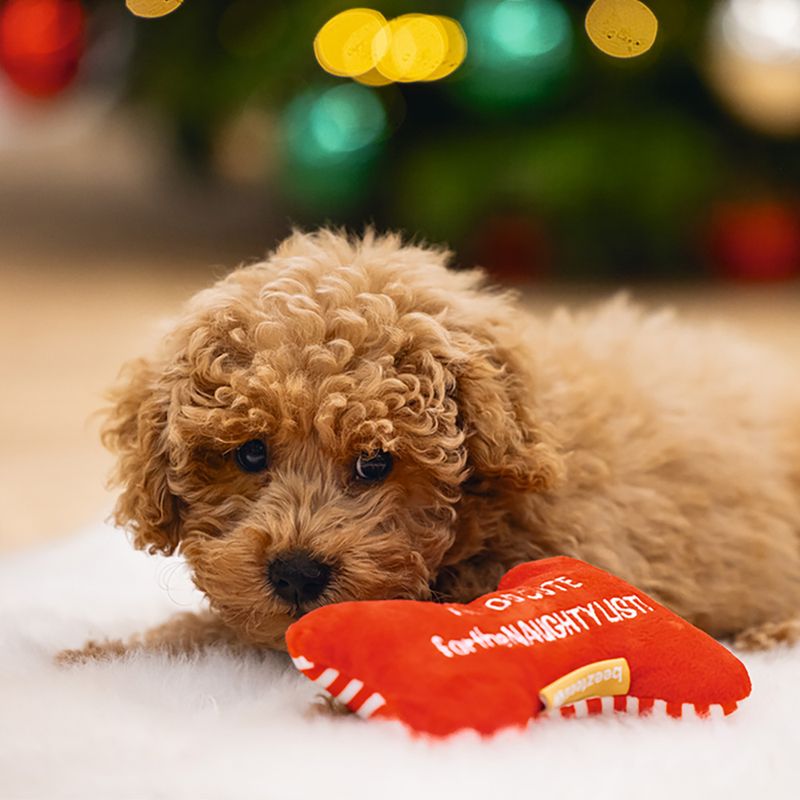 beeztees Hundespielzeug Weihnachtsknochen, rot