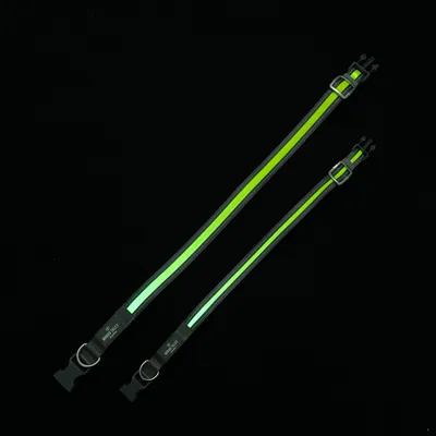 Deux colliers réfléchissants réglables, bandes vertes et boucles en plastique noir, anneau métallique visible sur chaque collier. Marquage 'Ring Line' lisible sur les fermetures.