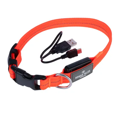 Collier pour chien orange avec boucle noire, étiquette visible 'NOMAD TALES', câble USB inclus. Matière textile et plastique.
