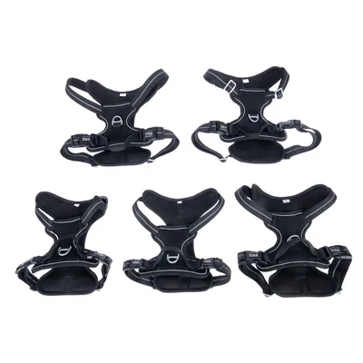 Fünf schwarze Hundegeschirre in verschiedenen Grössen, mit reflektierenden Nähten und gepolstertem Design.