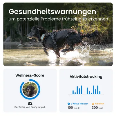 Gesundheitswarnungen: potenzielle Probleme frühzeitig erkennen. Wellness-Score 82, Aktivitätstracking mit 100 Minuten aktiv und 300 kcal Verbrauch.