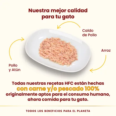 Pack Ahorro Almo Nature HFC 24 x 70 g