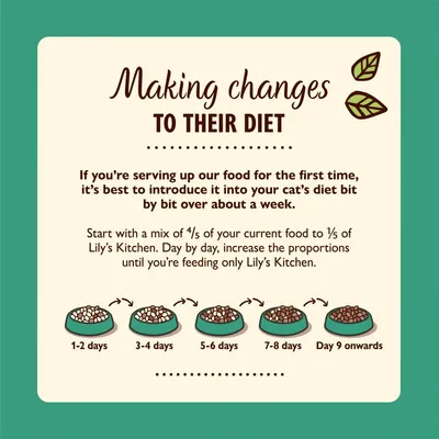 Feeding guide showing how to gradually switch to Lily’s Kitchen food over about a week, starting with mostly current food and increasing Lily’s Kitchen until fully switched by day 9.