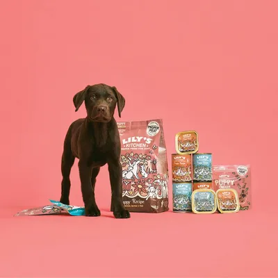 Dog standing beside a selection of Lily's Kitchen pet food products, including dry food bag, wet food trays, cans, and treat packs, all displayed against a plain background.
